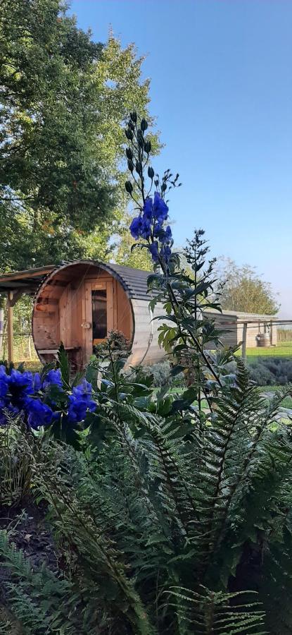 Vakantiewoning Victors Hof Tot 4 Pers Lievegem Exterior foto
